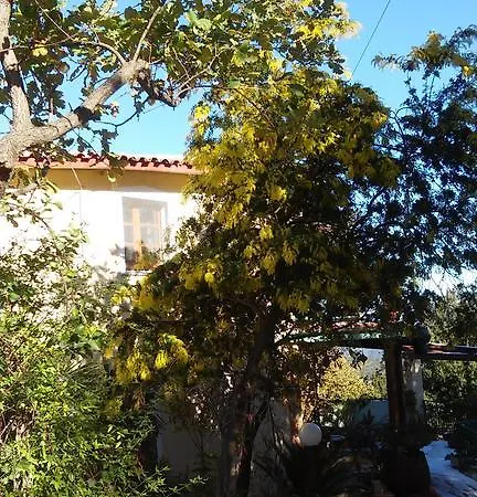 ベッド・アンド・ブレックファスト Nonna Lelletta