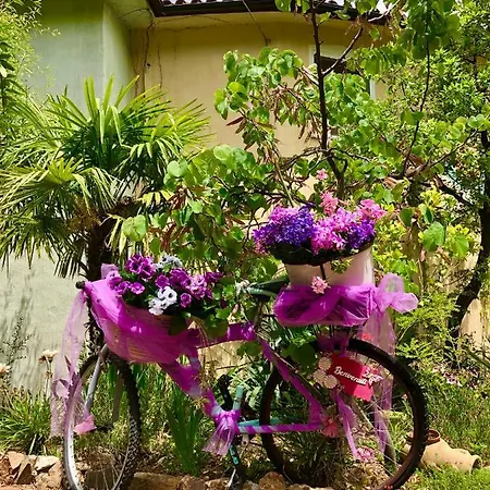 Nonna Lelletta ラヌゼーイ