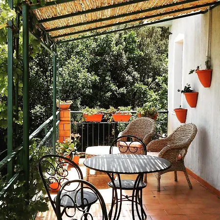 Nonna Lelletta ラヌゼーイ